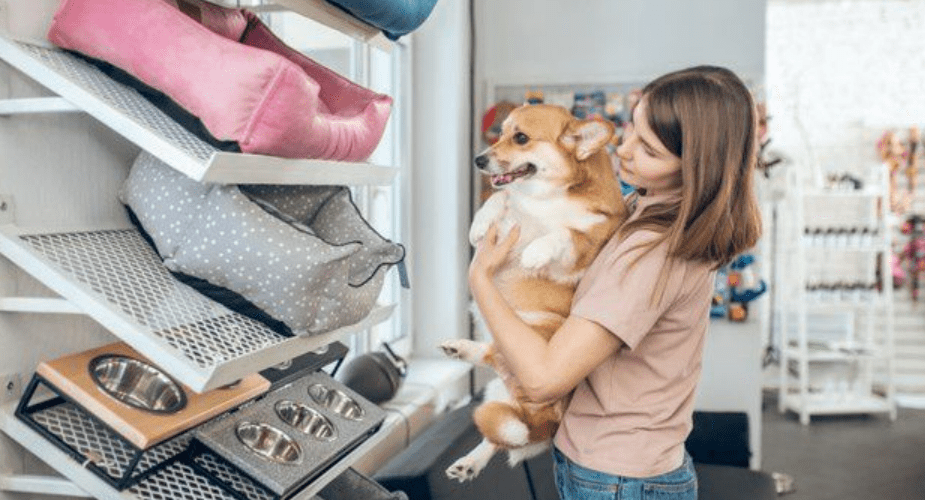 зоомагазин