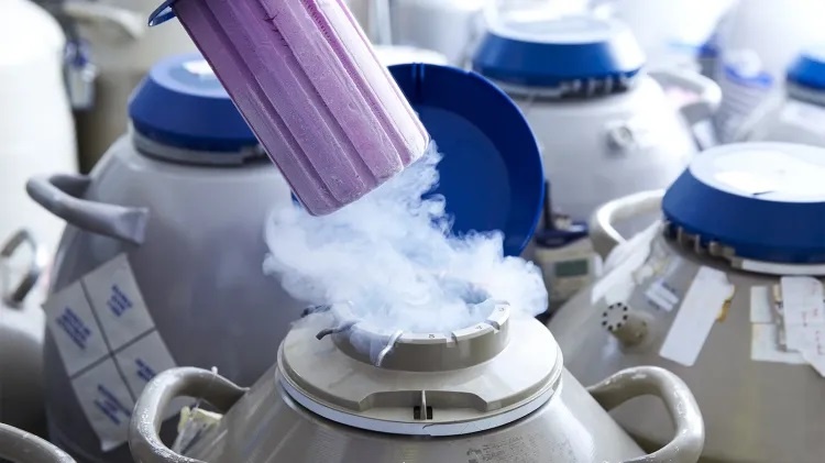 перевозка яйцеклеток