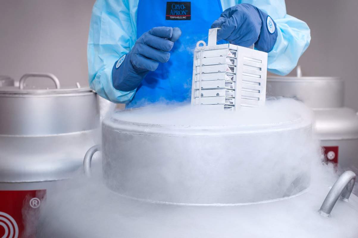 перевозка яйцеклеток