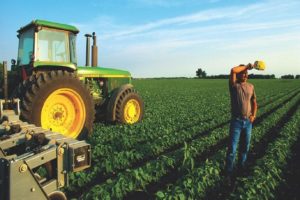 Как производятся натуральные и полезные продукты?