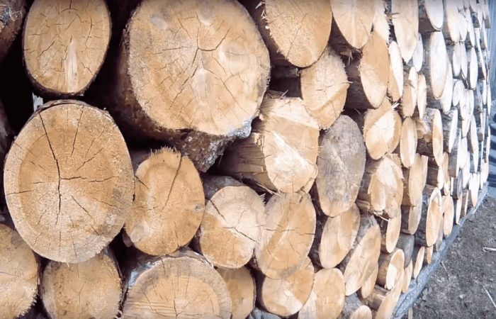 Продажа и доставка дров: Ключевые аспекты комфорта и уюта