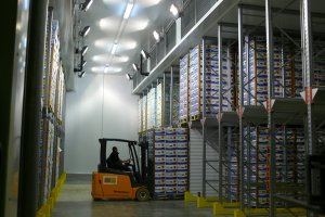 Магия Зрелости: Камеры Газации Бананов в Мире Современного Сельского Хозяйства