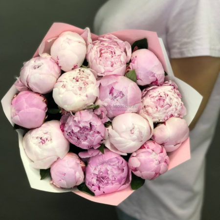 Купить пионы - красота и аромат в вашем саду